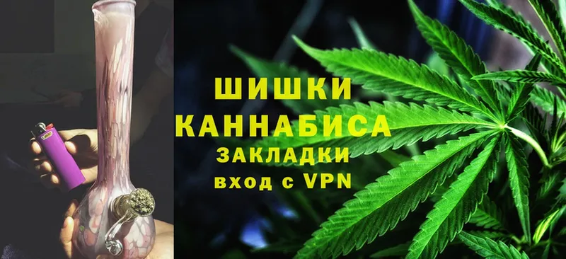 Канабис сатива  Бикин 